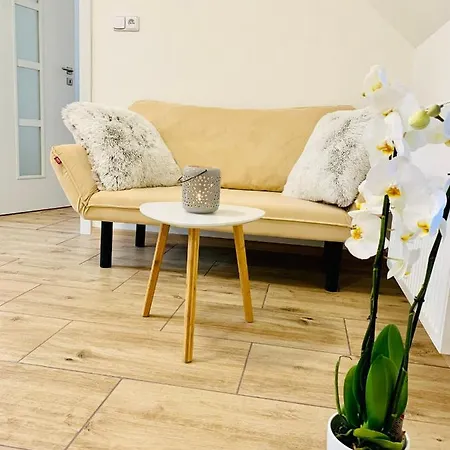 Apartmany Jetrichovice - Ceske Svycarsko Exterior photo